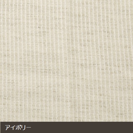 ファン