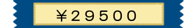 \29500