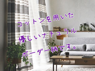 アルディ