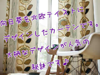 サンフラワー