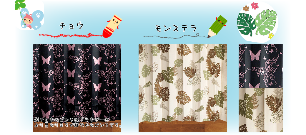 モンステラ　コンパクタ　ドリームガーデン株 花宇宙 第24回 DREAM GARDEN 2025 夏 | miicaのゆびいろ